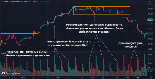 нюансы анализа рынка с помощью VSA