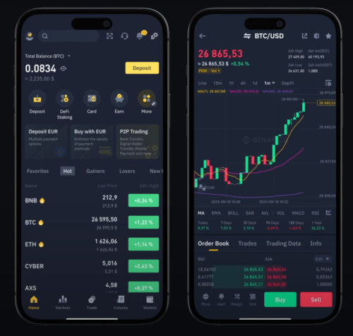 приложение Бинанс