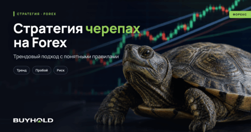 Стратегия черепах на Forex - превью BuyHold