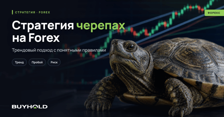 Стратегия черепах на форекс — торгуй просто и эффективно. Обзор метода