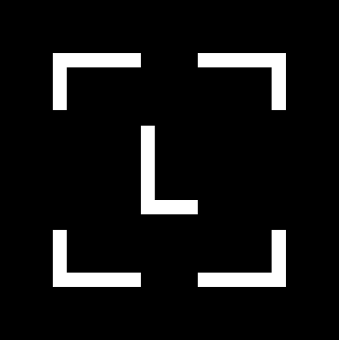 Ledger Nano X