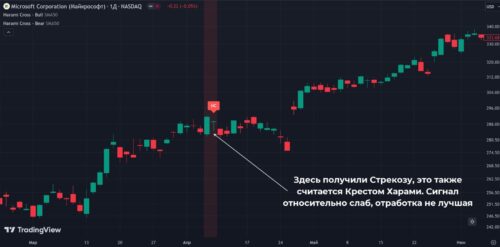 стрекоза