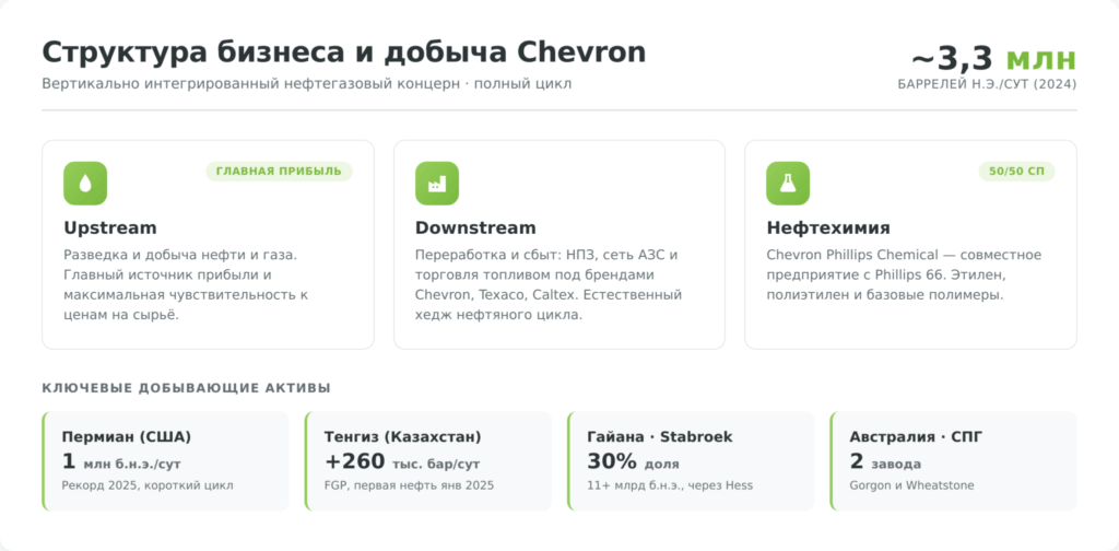 Инфографика: структура бизнеса и добыча акций Chevron — Upstream, Downstream, нефтехимия и ключевые активы
