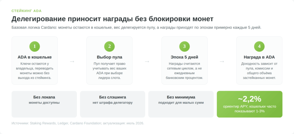 Схема стейкинга ADA в Cardano с обновлённой доходностью