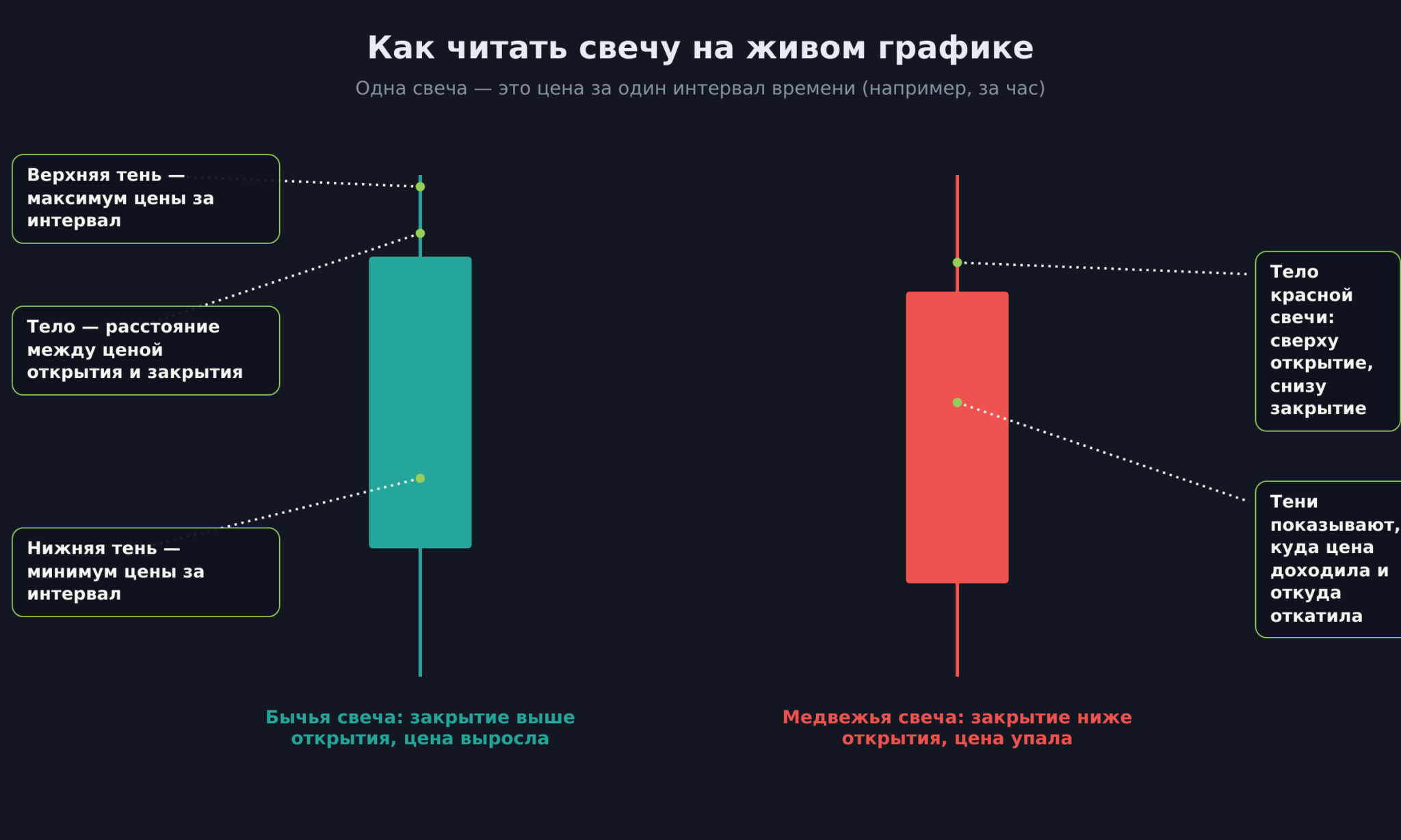 Живой график: как читать свечу, тело и тени