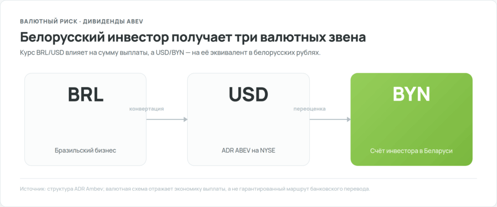 Валютный путь дивиденда Ambev для белорусского инвестора: BRL, USD и BYN